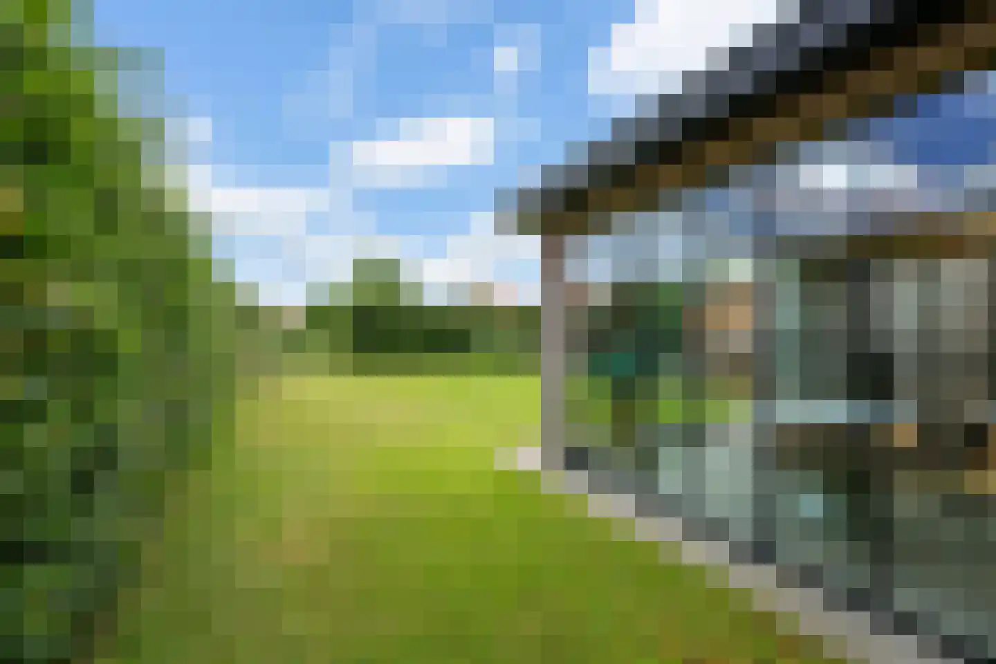 Watervogel 74 Lathum thumbnail 26