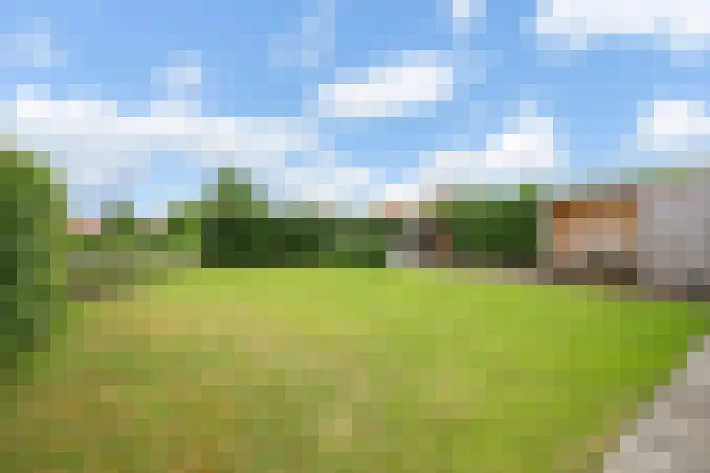 Watervogel 74 Lathum thumbnail 27