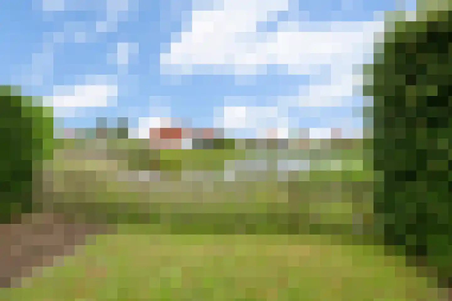 Watervogel 74 Lathum thumbnail 29