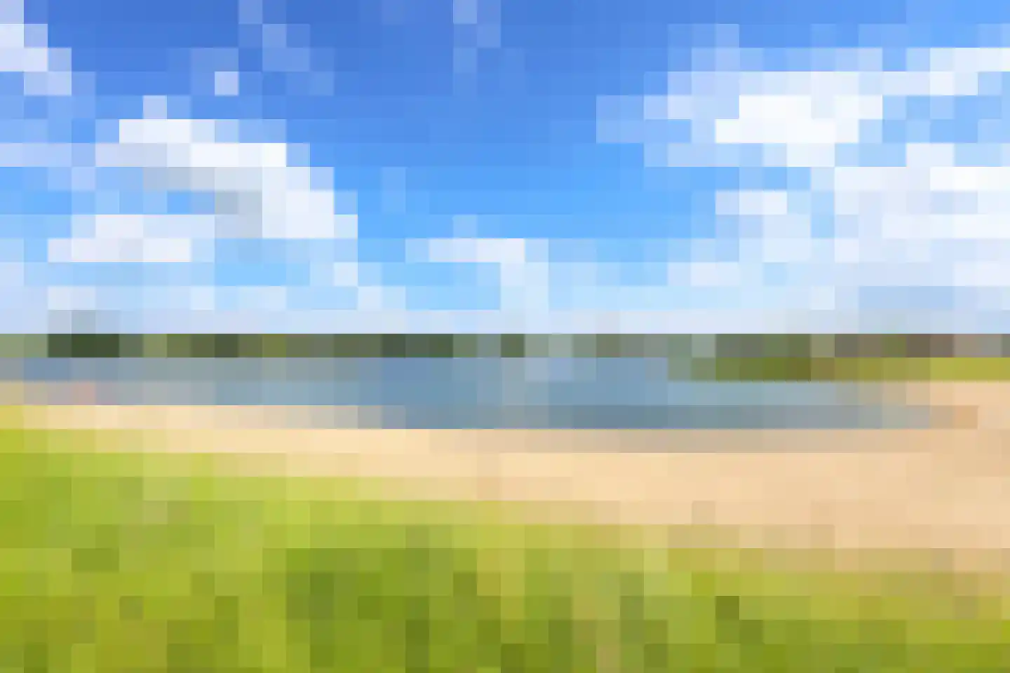 Watervogel 74 Lathum thumbnail 33