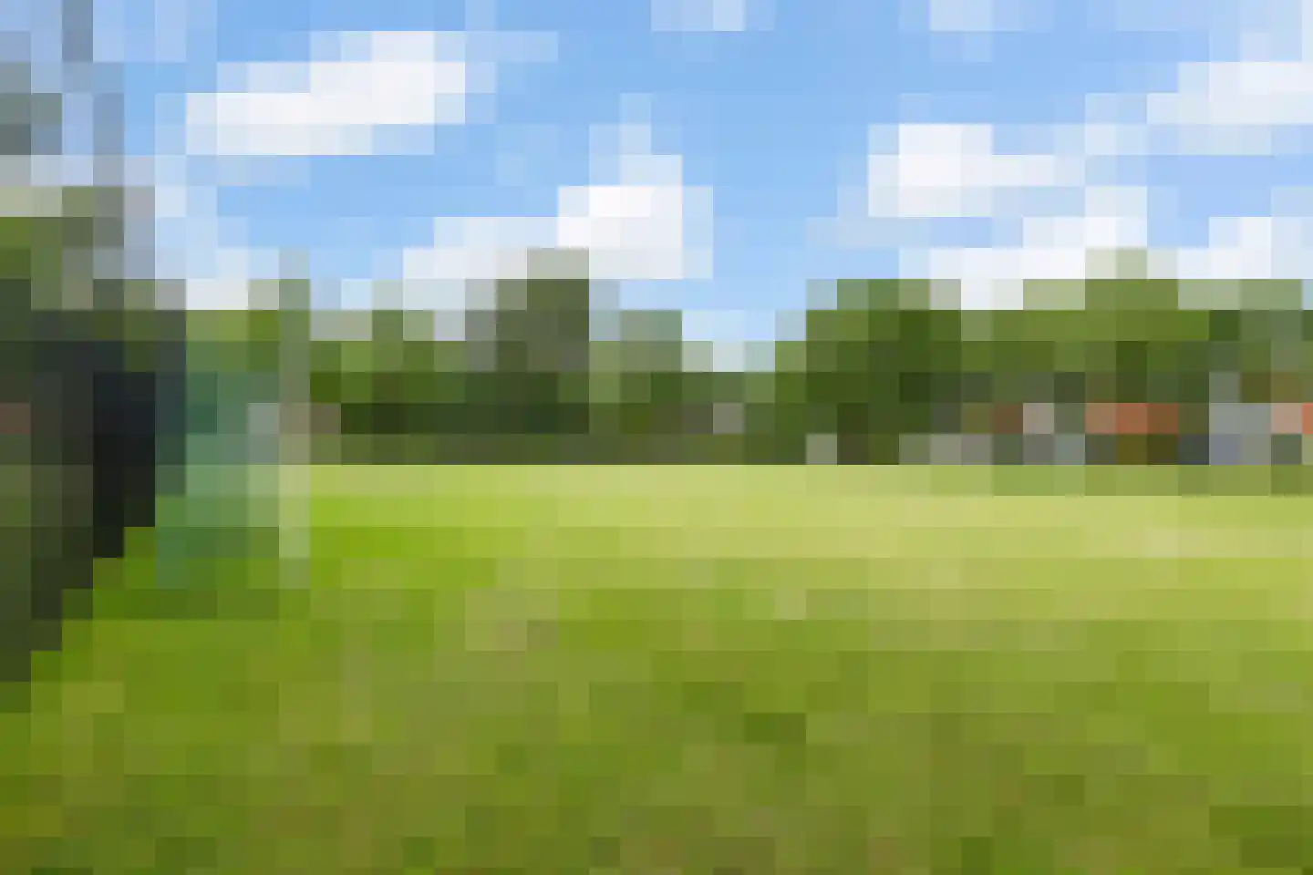Watervogel 74 Lathum thumbnail 34