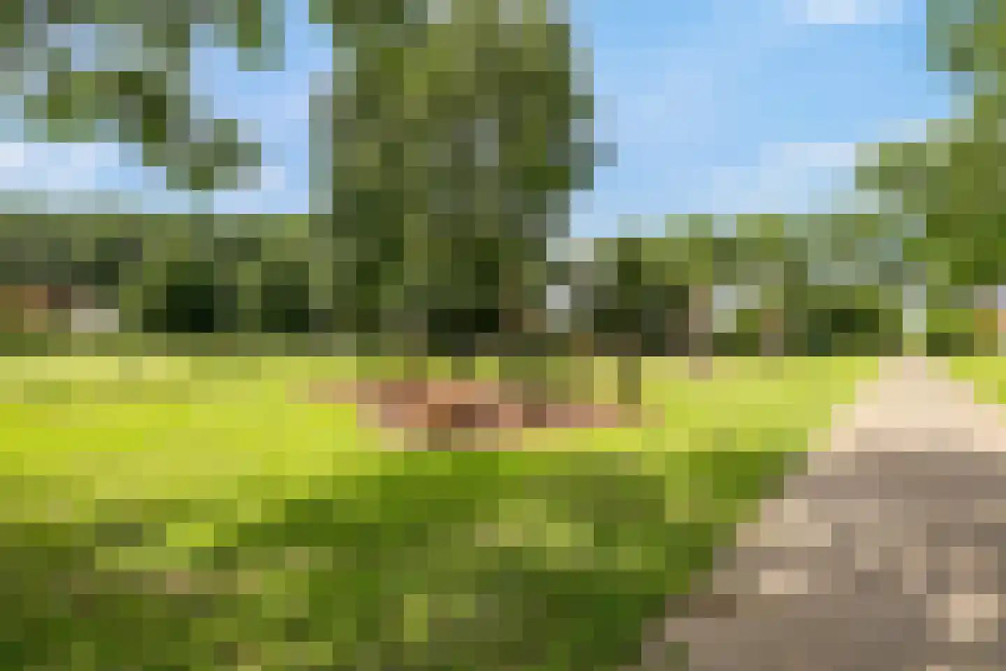 Watervogel 74 Lathum thumbnail 35