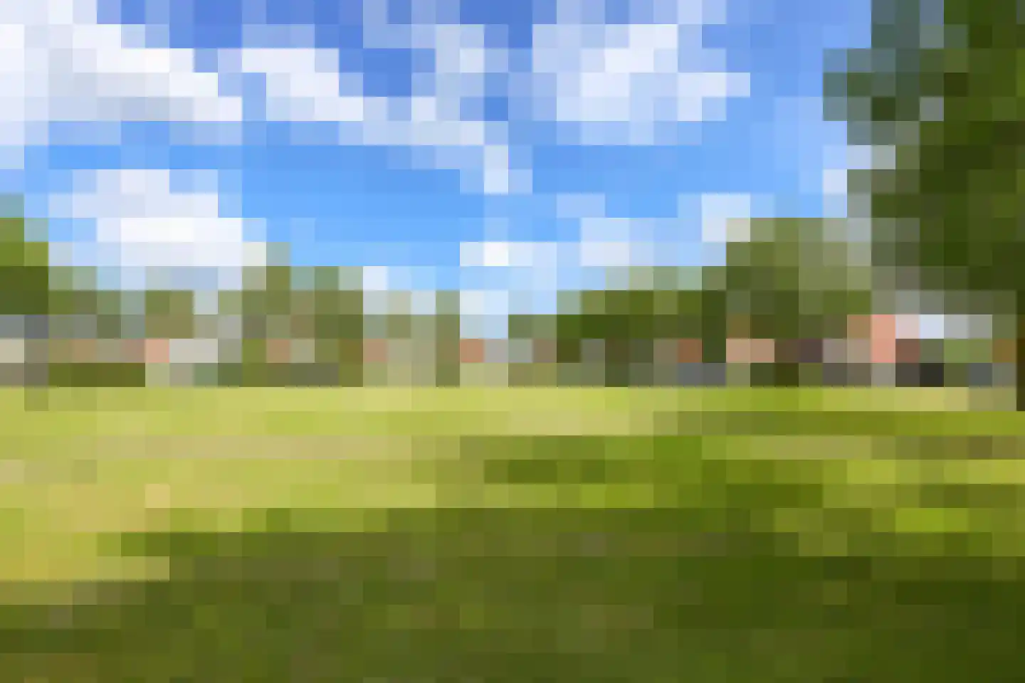 Watervogel 74 Lathum thumbnail 36