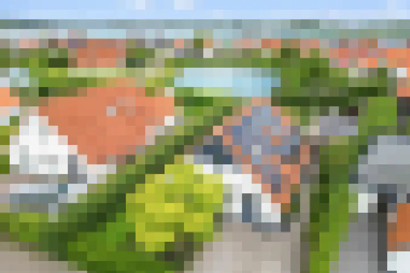 Watervogel 74 Lathum thumbnail 38