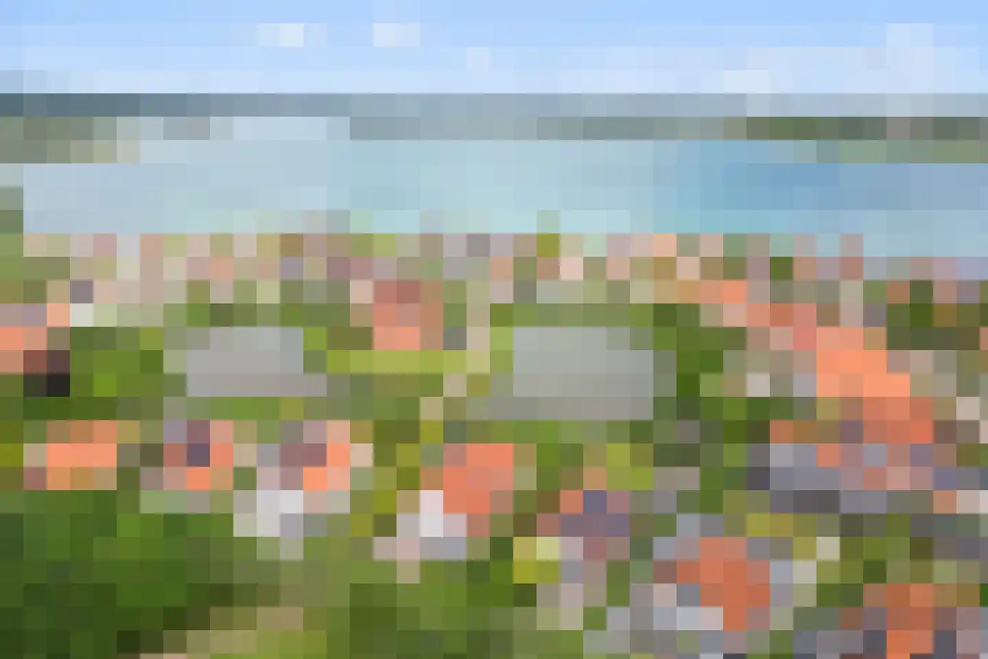 Watervogel 74 Lathum thumbnail 39