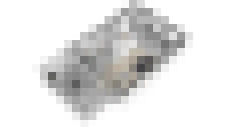 Watervogel 74 Lathum thumbnail 42