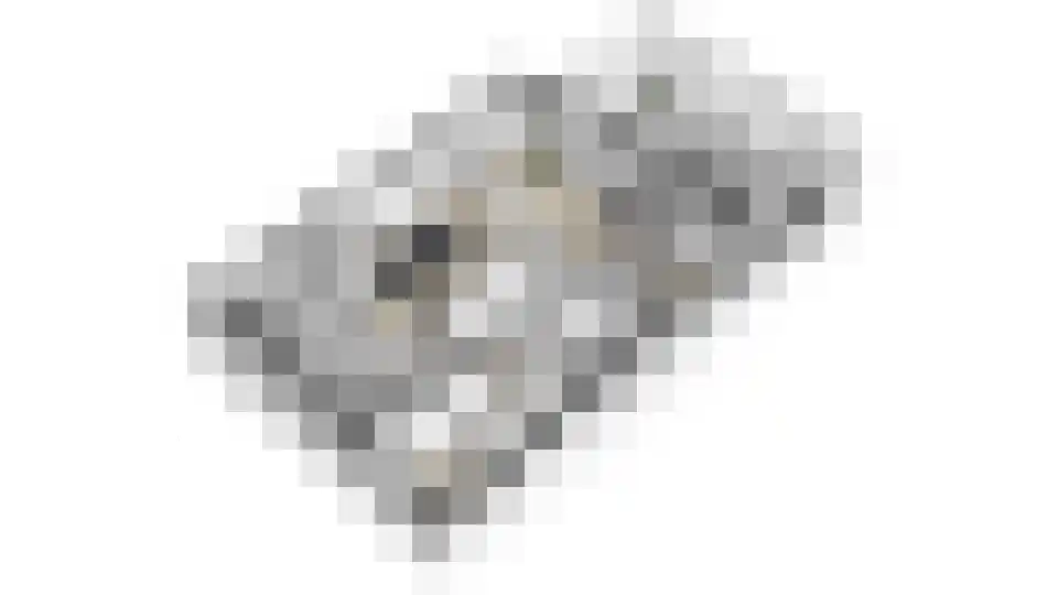 Watervogel 74 Lathum thumbnail 43