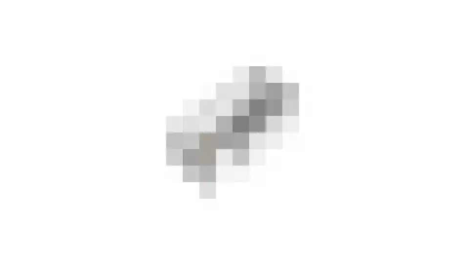 Watervogel 74 Lathum thumbnail 48