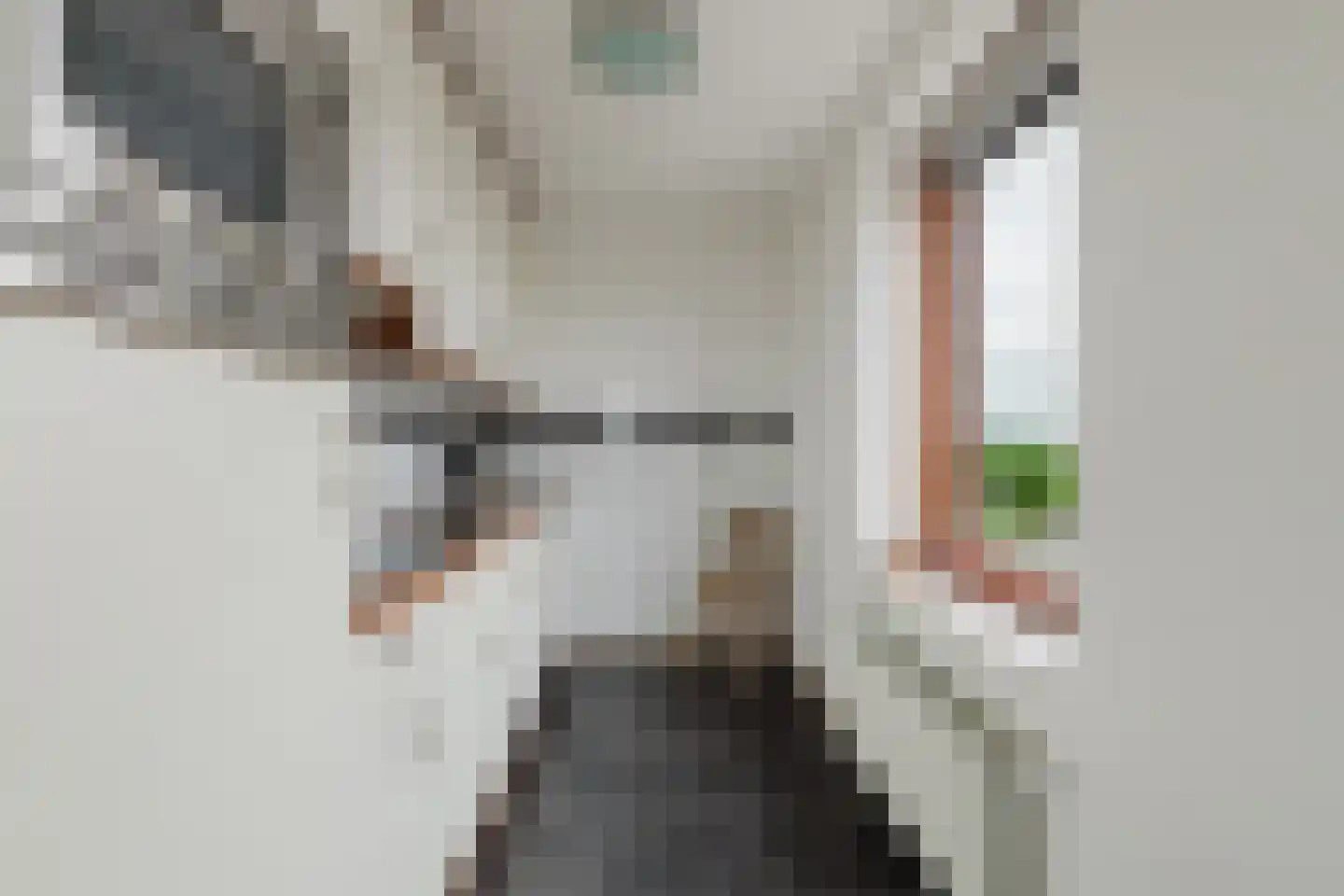 Waterweegbree 111 Breda thumbnail 19