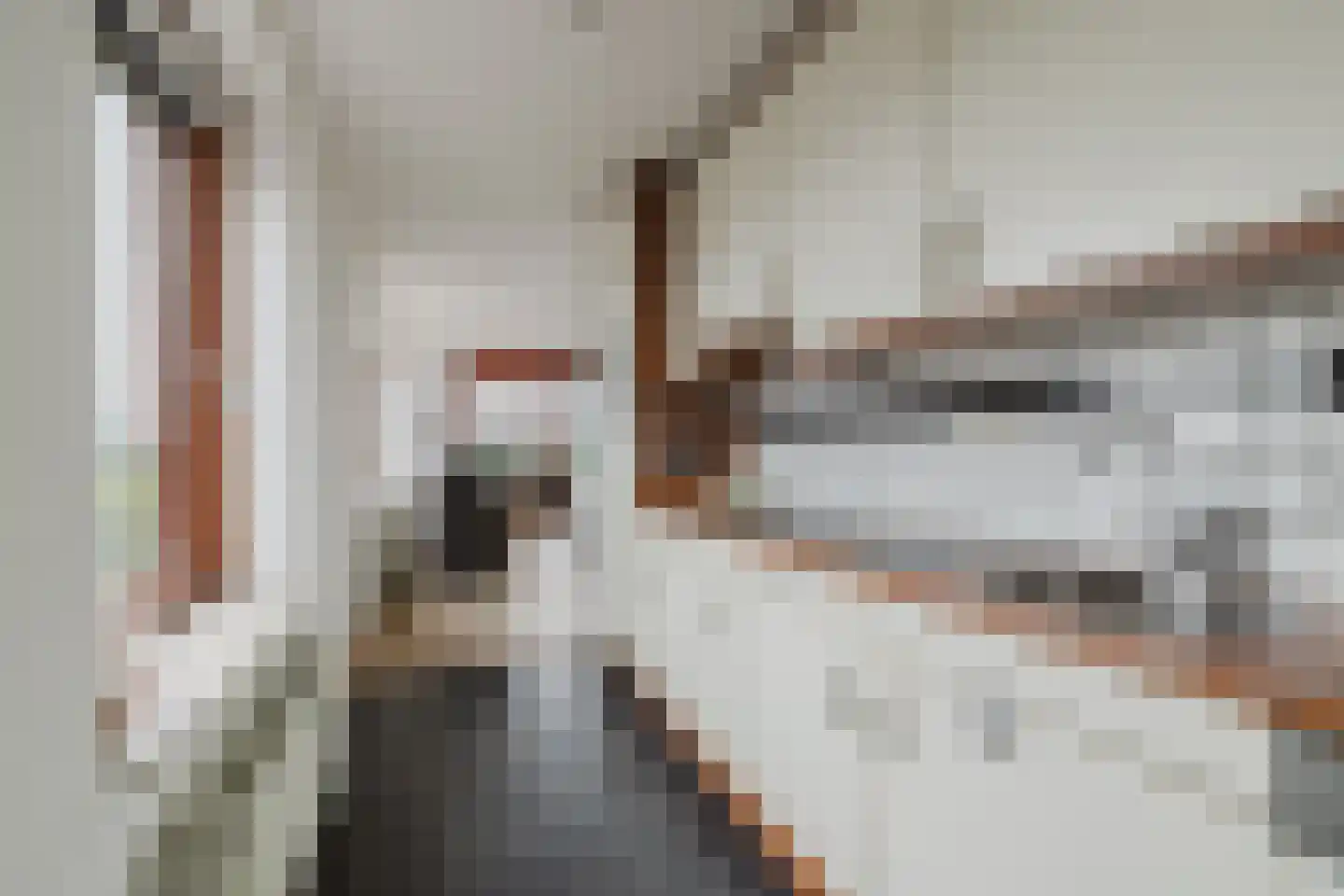 Waterweegbree 111 Breda thumbnail 20