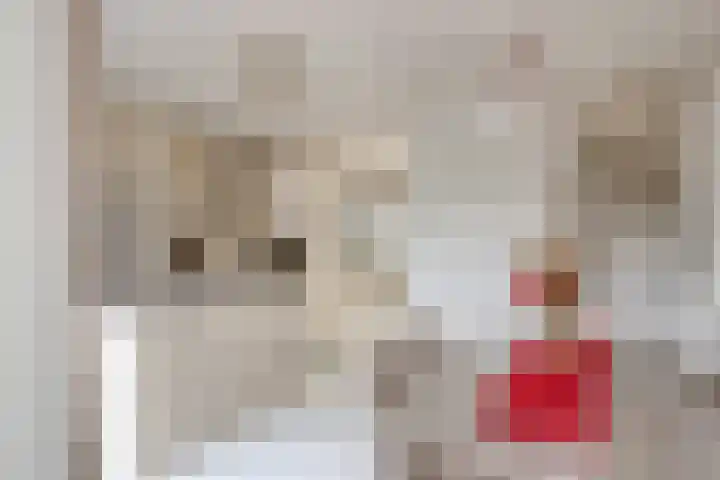 Waterweegbree 12 Breda thumbnail 12