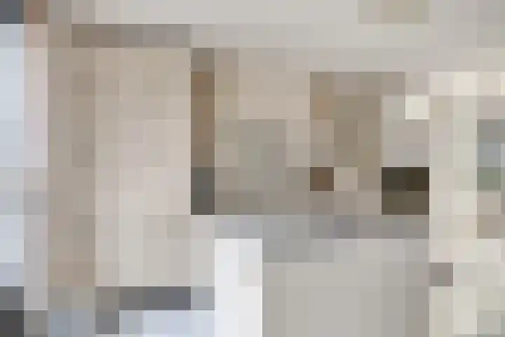 Waterweegbree 12 Breda thumbnail 13