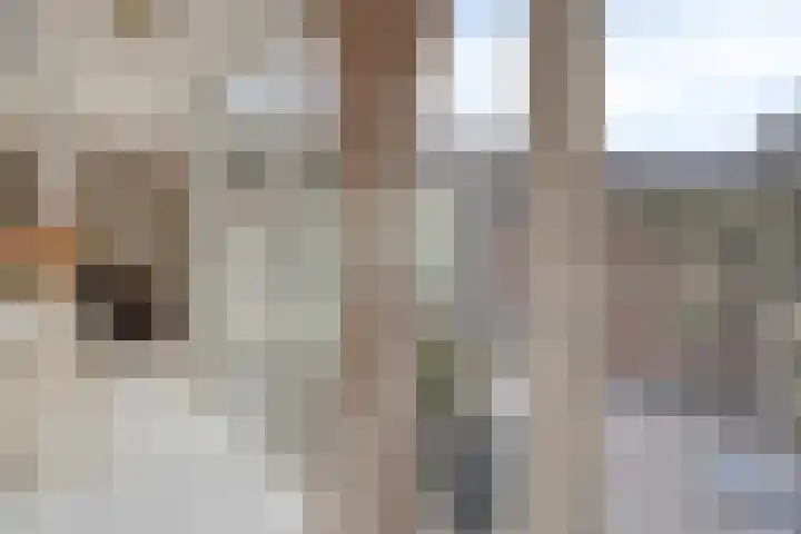 Waterweegbree 12 Breda thumbnail 17