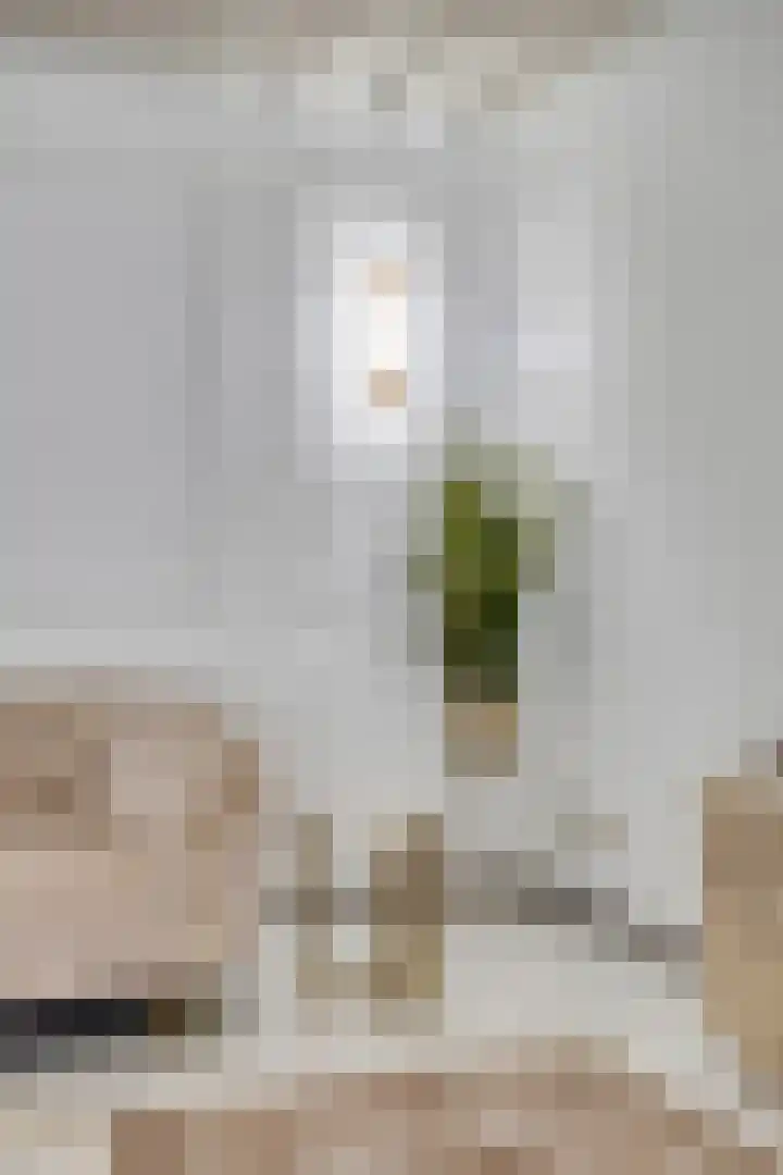 Waterweegbree 12 Breda thumbnail 20