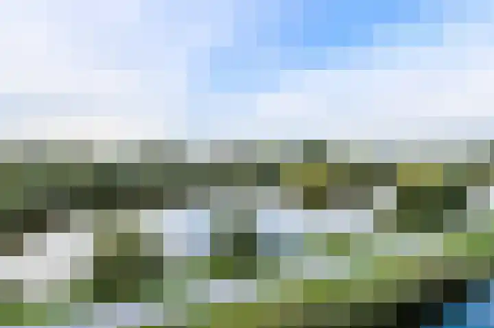 Waterweegbree 147 Breda thumbnail 25