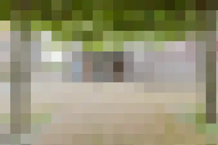 Waterweegbree 147 Breda thumbnail 8