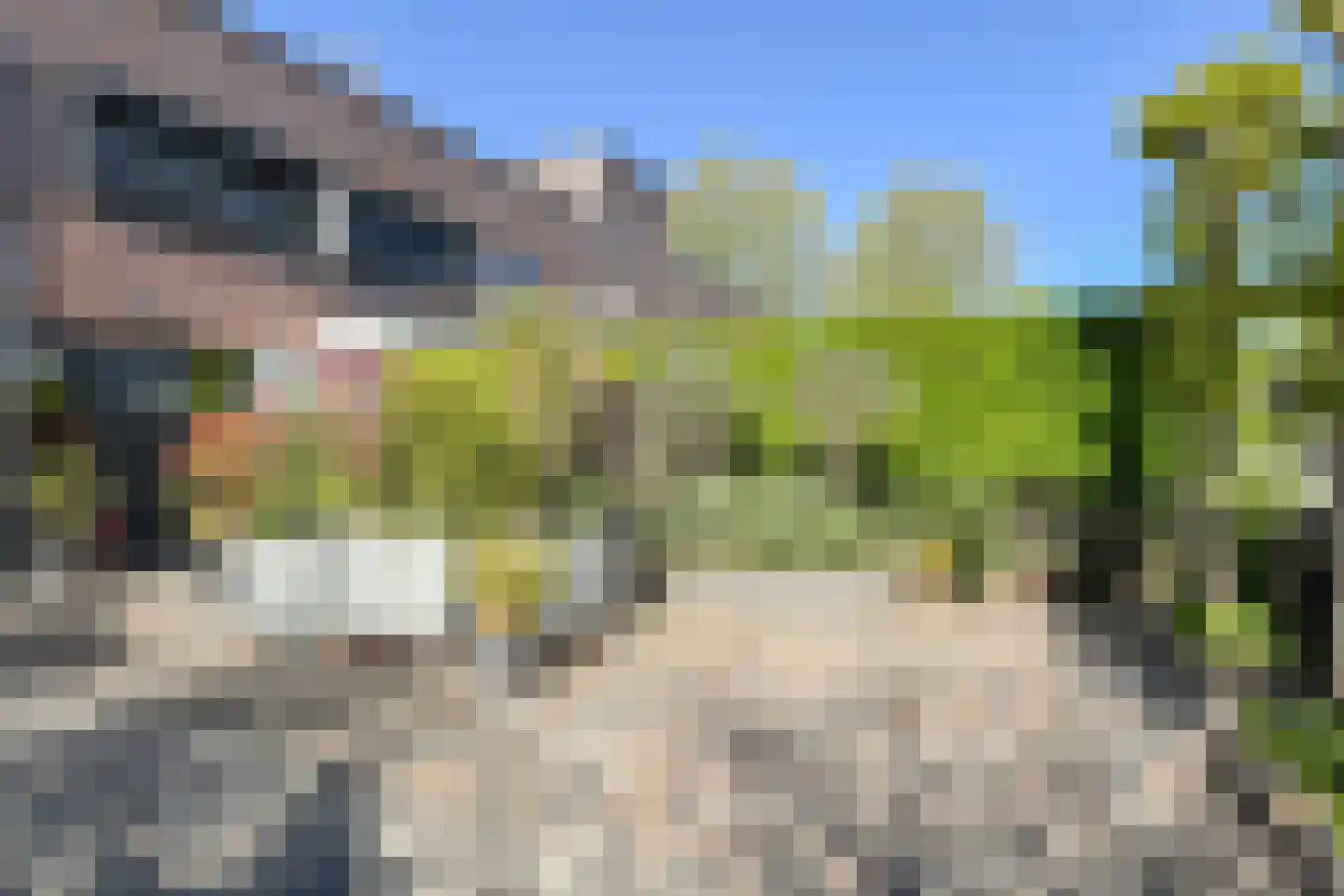 Waterweegbree 231 Breda thumbnail 15