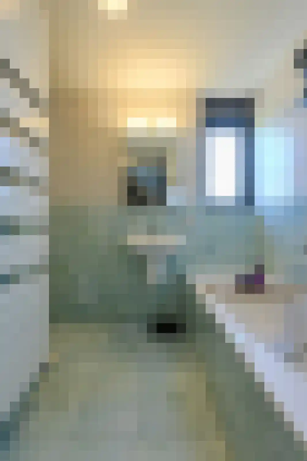 Waterweegbree 231 Breda thumbnail 51