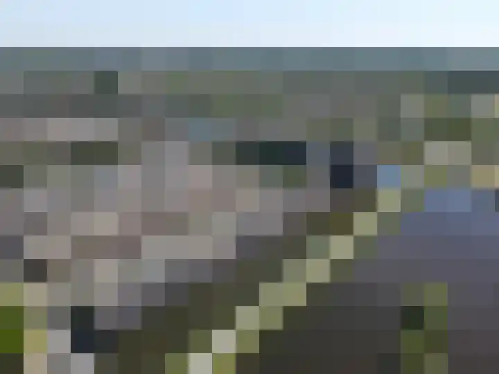 Waterweegbree 29 Breda thumbnail 36