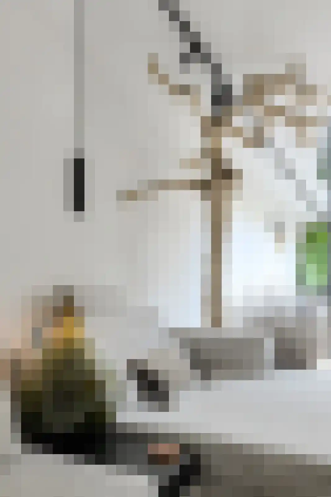 Waterweegbree 34 Breda thumbnail 25