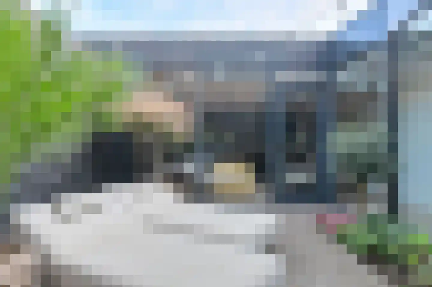 Waterweegbree 34 Breda thumbnail 29