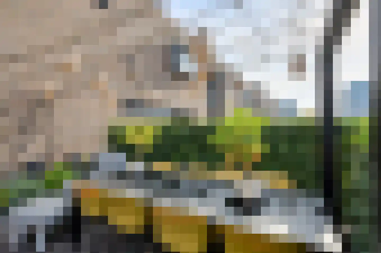 Waterweegbree 34 Breda thumbnail 49