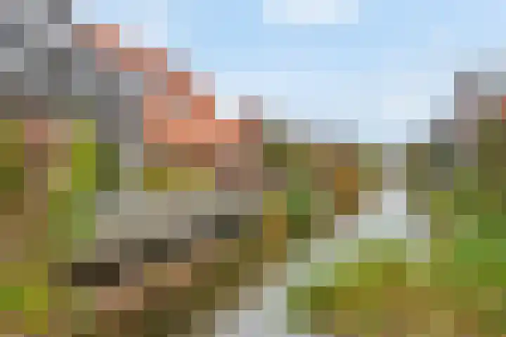 Waterweegbree 34 Den Haag thumbnail 41