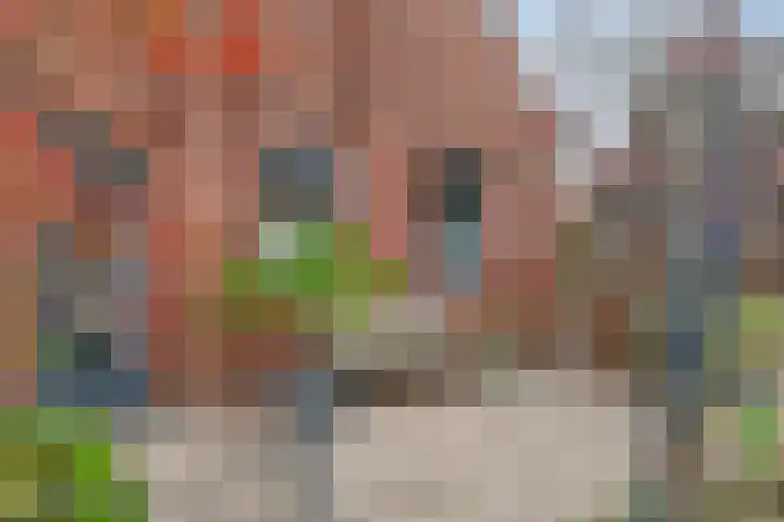 Waterweegbree 34 Den Haag thumbnail 9