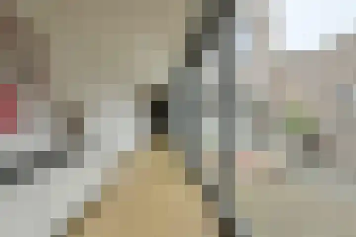 Waterweegbree 40 Breda thumbnail 12