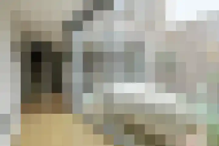 Waterweegbree 40 Breda thumbnail 13
