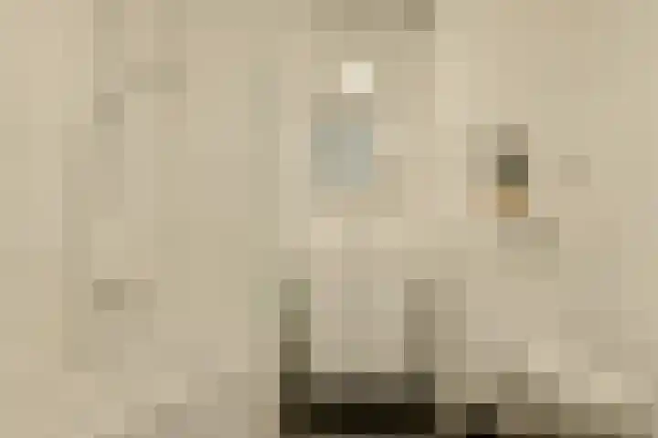 Waterweegbree 40 Breda thumbnail 32