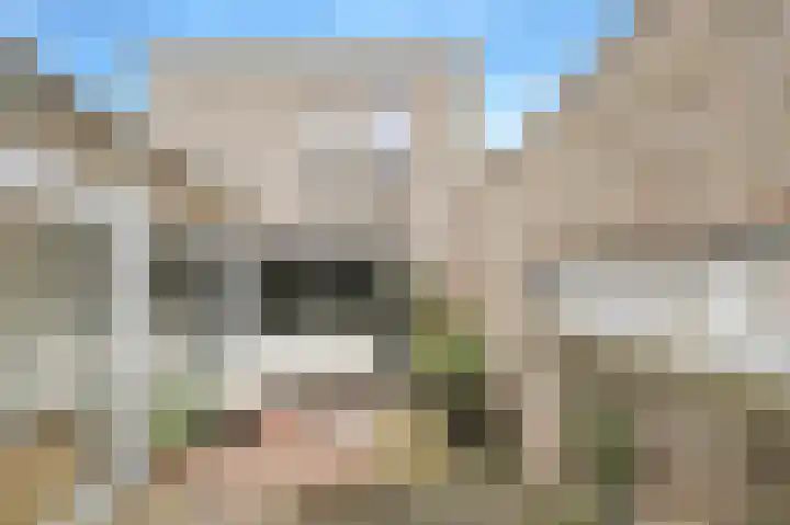 Waterweegbree 40 Breda thumbnail 41