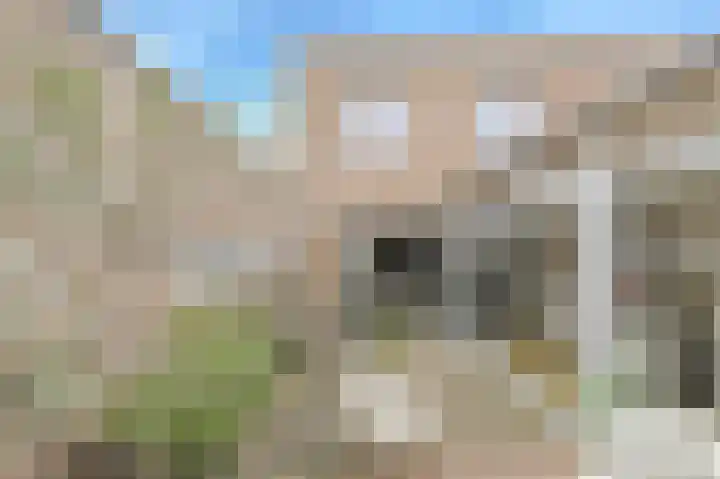 Waterweegbree 40 Breda thumbnail 44