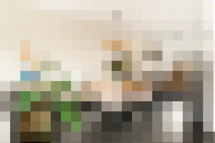 Waterweegbree 6 Velserbroek thumbnail 13