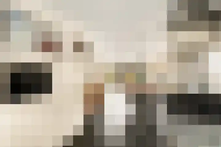 Waterweegbree 6 Velserbroek thumbnail 21