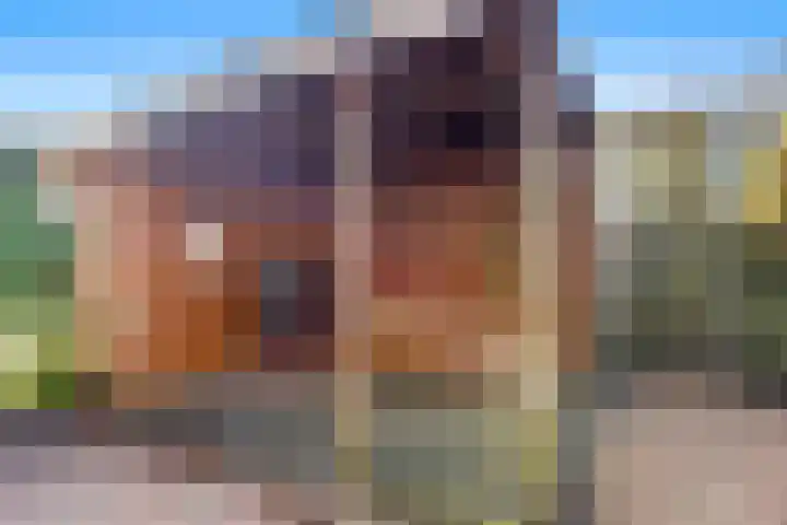 Waterweegbree 6 Velserbroek thumbnail 29