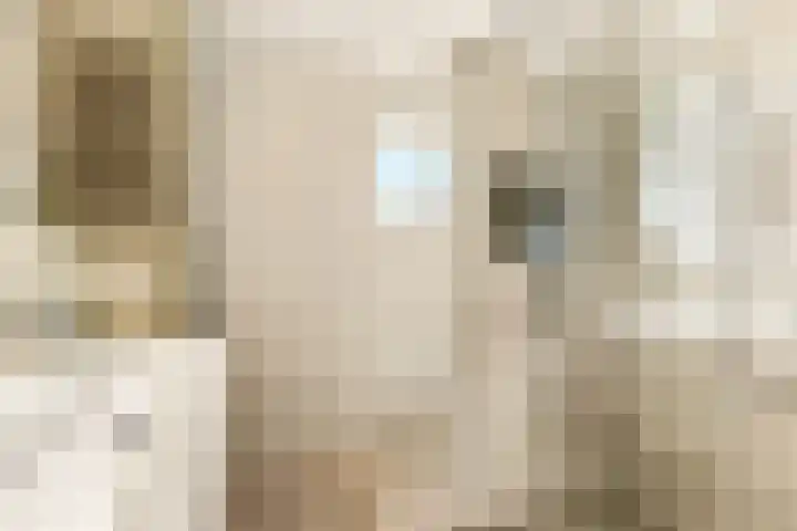 Waterweegbree 6 Velserbroek thumbnail 33