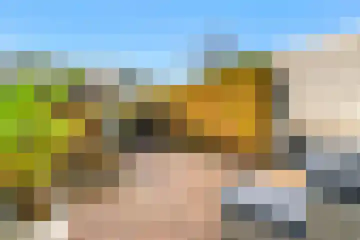 Waterweegbree 6 Velserbroek thumbnail 4