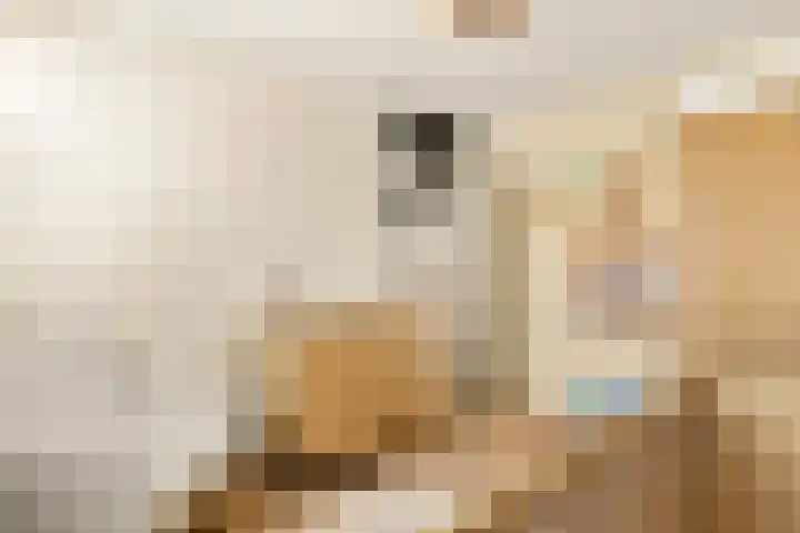 Waterweegbree 6 Velserbroek thumbnail 40