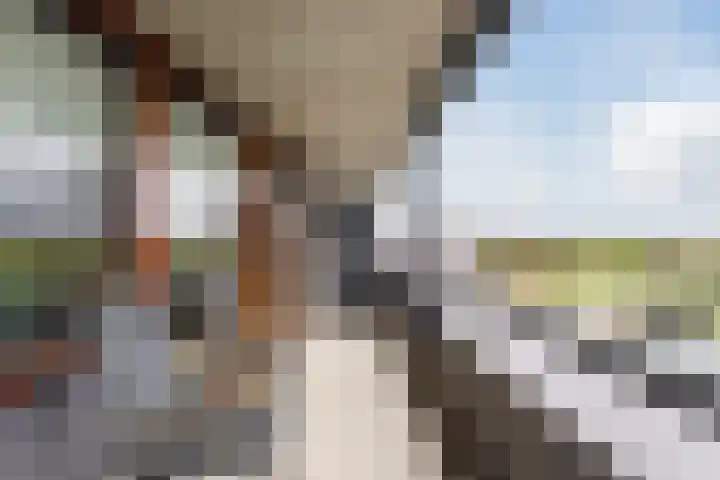 Waterweegbree 99 Breda thumbnail 21