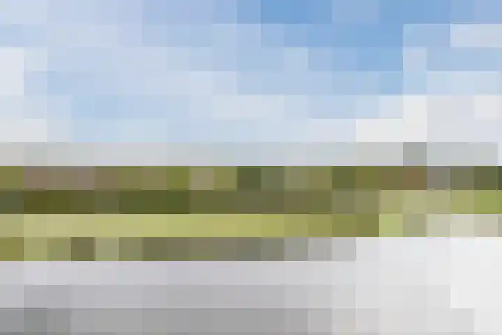 Waterweegbree 99 Breda thumbnail 22