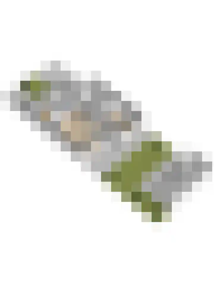 Waterweegbreelaan 23 Enschede thumbnail 55
