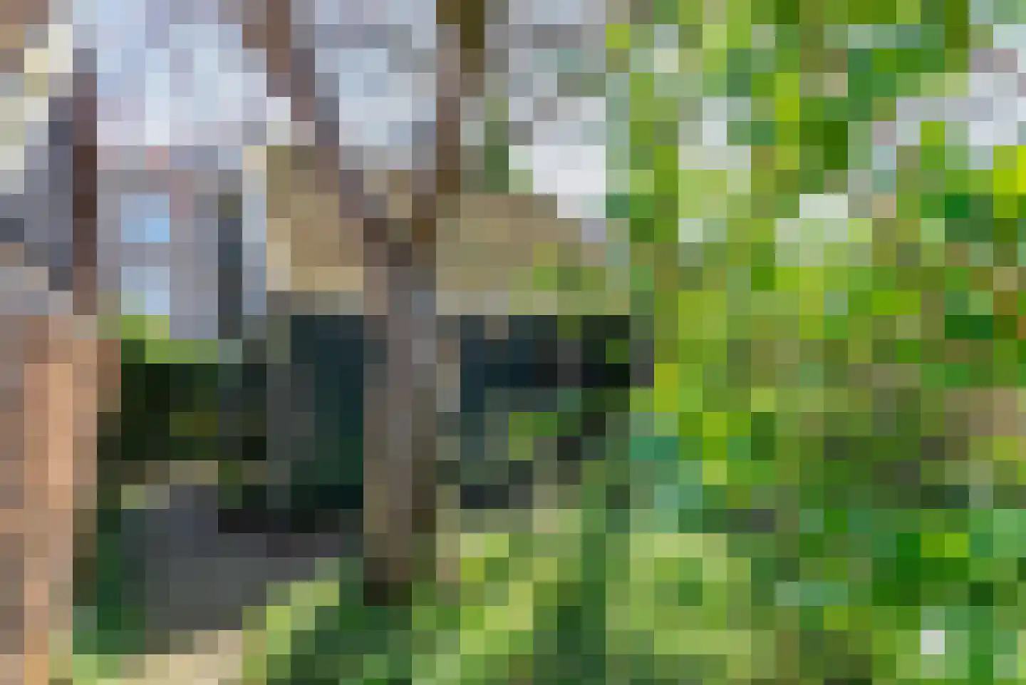 Waterweg 124 De Bilt thumbnail 37