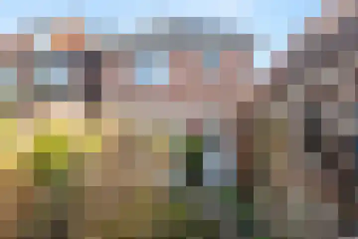 Waterweg 13 De Bilt thumbnail 25