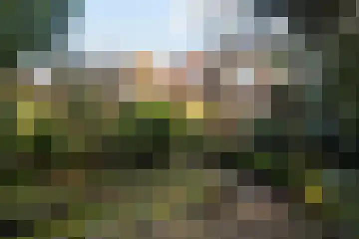 Waterweg 13 De Bilt thumbnail 27
