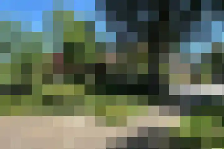 Waterweg 159 De Bilt thumbnail 21