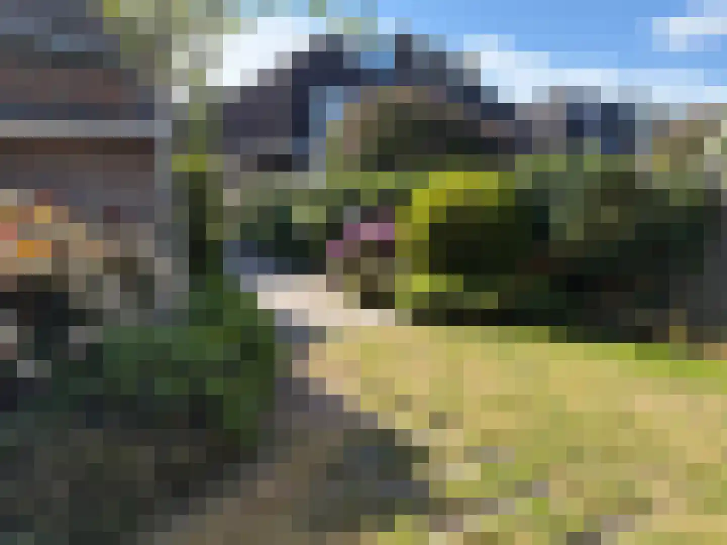 Waterweg 183 De Bilt thumbnail 32