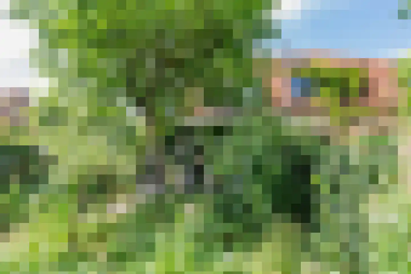 Waterweg 2 De Bilt thumbnail 27