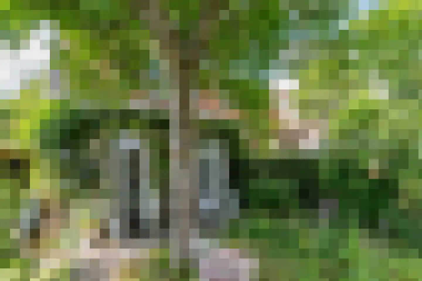 Waterweg 2 De Bilt thumbnail 28
