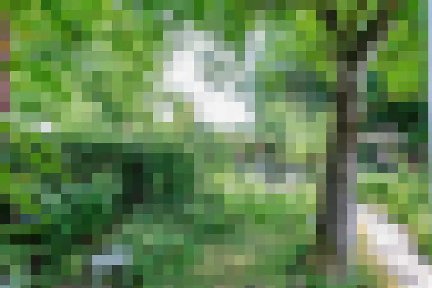 Waterweg 2 De Bilt thumbnail 29